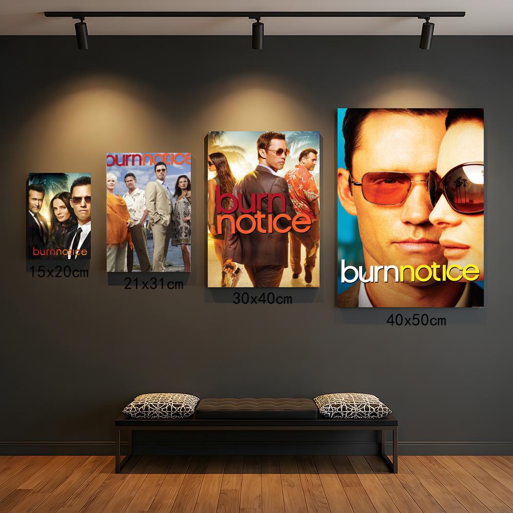 Interior Design Tv Room - tv series B-Burn Notice-E Painting Calligraphy