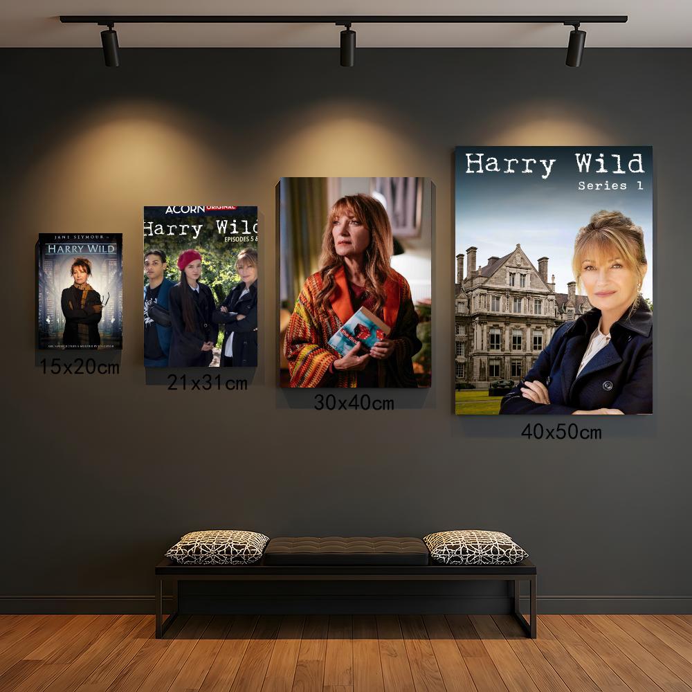 tv series H-Harry Wild-D Paint - огляд і ціна Interior Design Tv Room