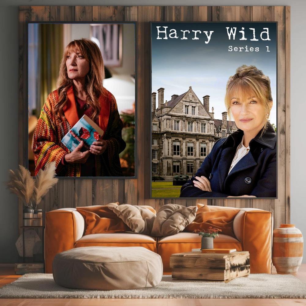 tv series H-Harry Wild-D Paint - огляд і ціна Interior Design Tv Room