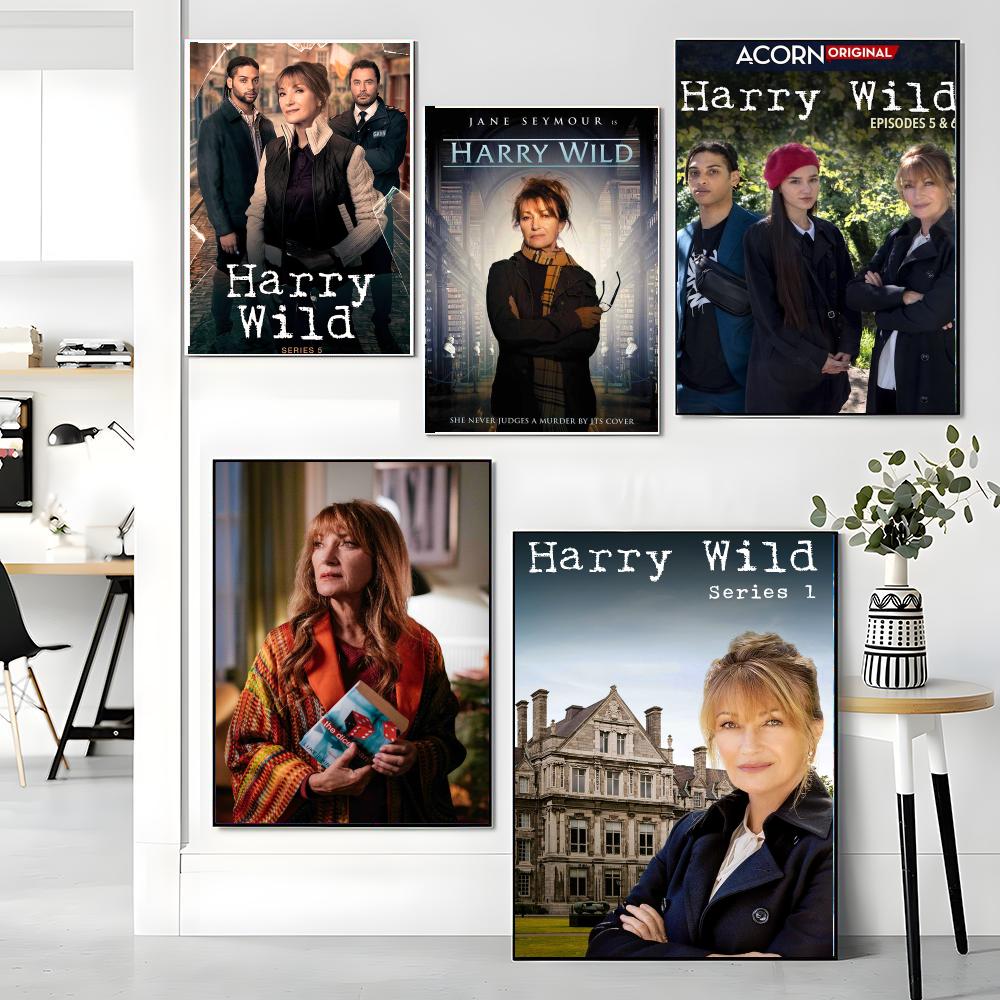 tv series H-Harry Wild-D Paint - огляд і ціна Interior Design Tv Room