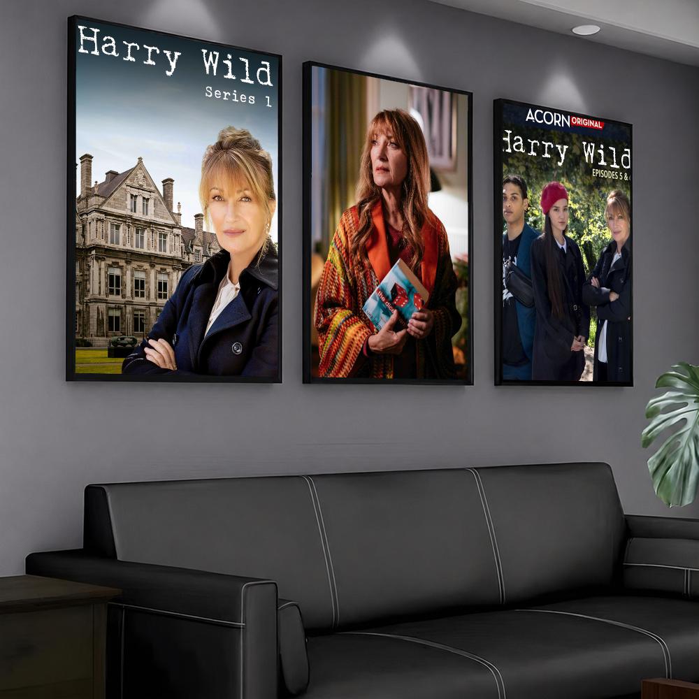 tv series H-Harry Wild-D Paint - огляд і ціна Interior Design Tv Room