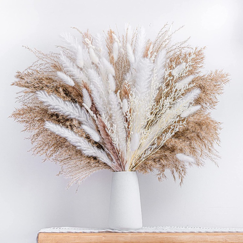 50-105pcs Boho Rustic Mixed Dr - огляд і ціна Dried Pampas Bundle