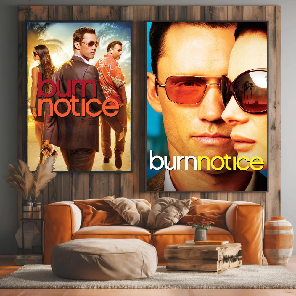 tv series B-Burn Notice-E Pain - огляд і ціна Interior Design Tv Room