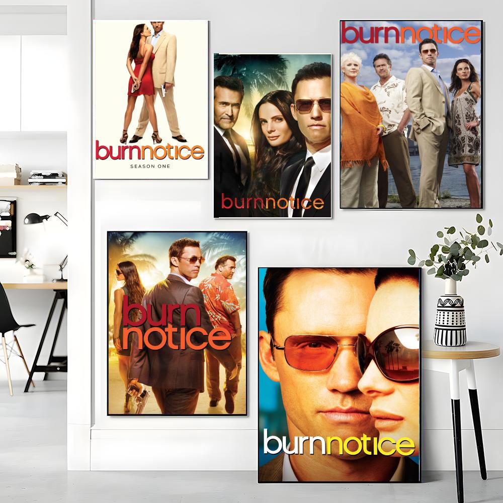 tv series B-Burn Notice-E Pain - огляд і ціна Interior Design Tv Room