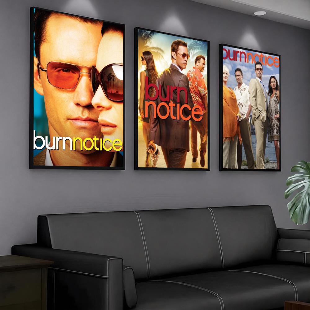 tv series B-Burn Notice-E Pain - огляд і ціна Interior Design Tv Room
