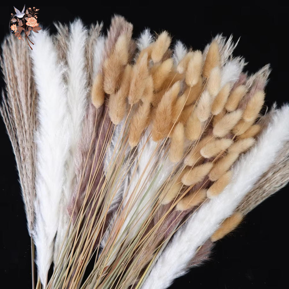 Mixed Natural Dried Flower Bou - огляд і ціна Dried Pampas Bundle
