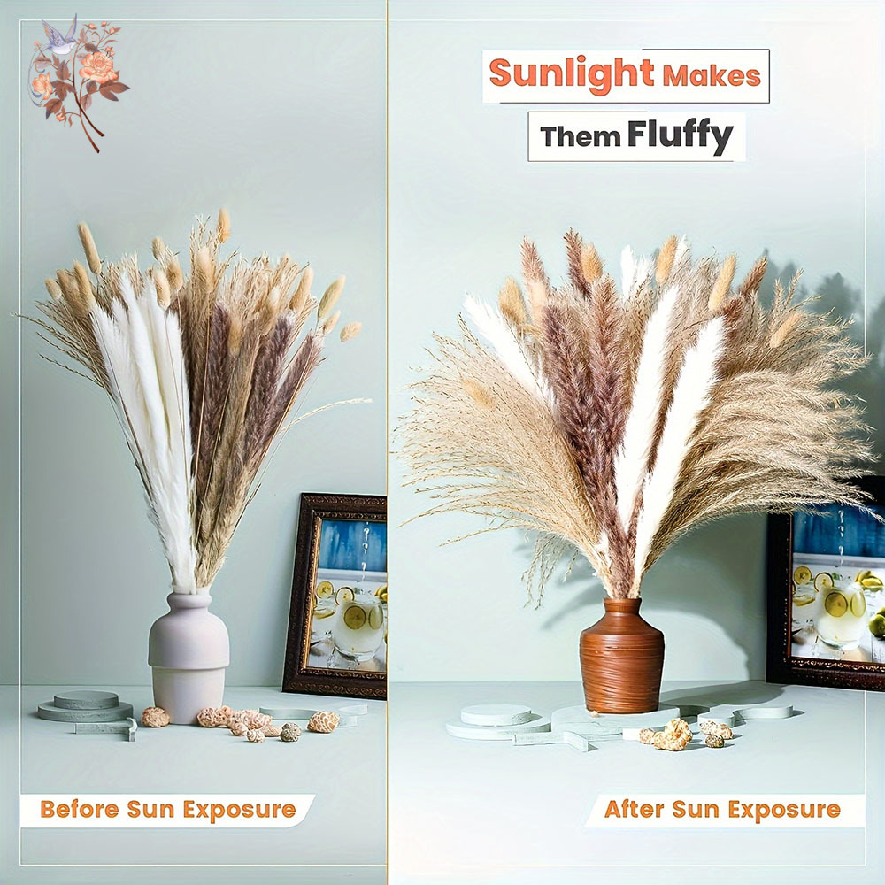 Mixed Natural Dried Flower Bou - огляд і ціна Dried Pampas Bundle