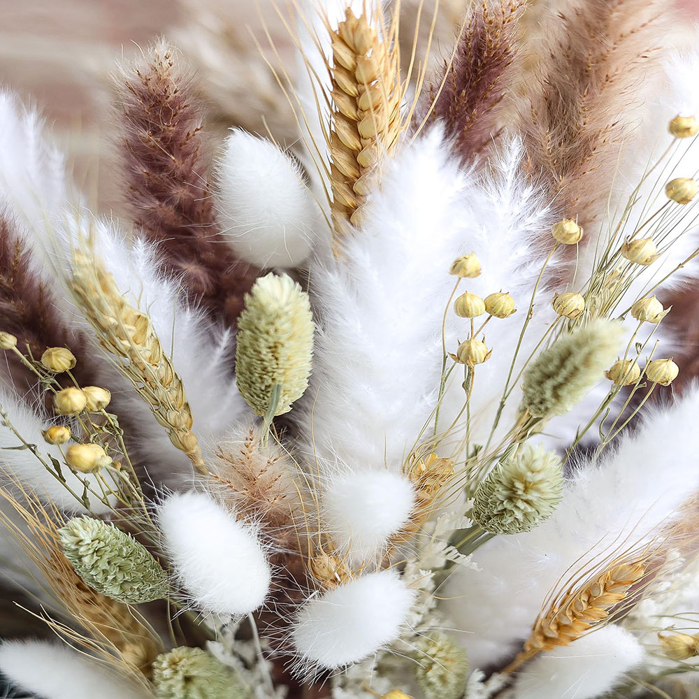 100pcs Dried Pampas Grass Bouq - огляд і ціна Dried Pampas Bundle