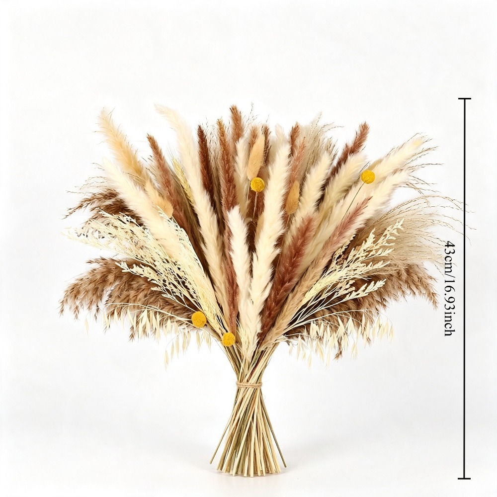 Natural Mixed Dried Flower Bou - огляд і ціна Dried Pampas Bundle